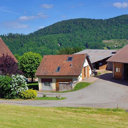 Hebergement Francois Mathieu Saint-Maurice-sur-Moselle Dış mekan fotoğraf