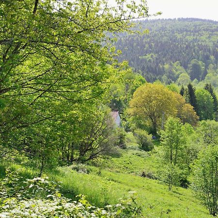 Hebergement Francois Mathieu Saint-Maurice-sur-Moselle Dış mekan fotoğraf