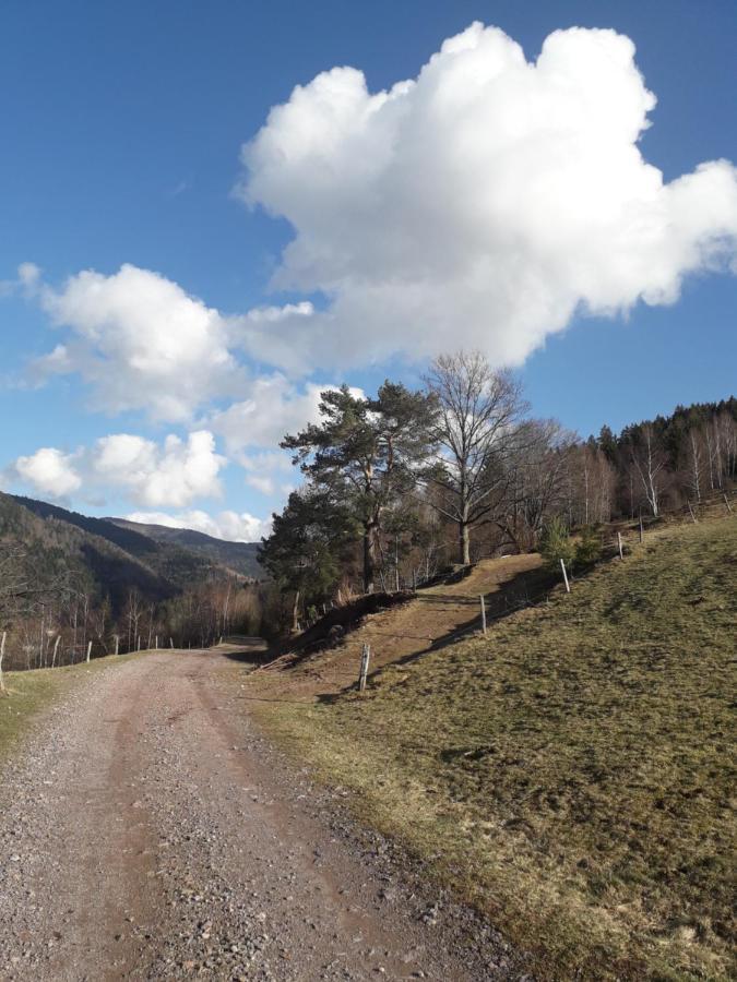 Hebergement Francois Mathieu Saint-Maurice-sur-Moselle Dış mekan fotoğraf