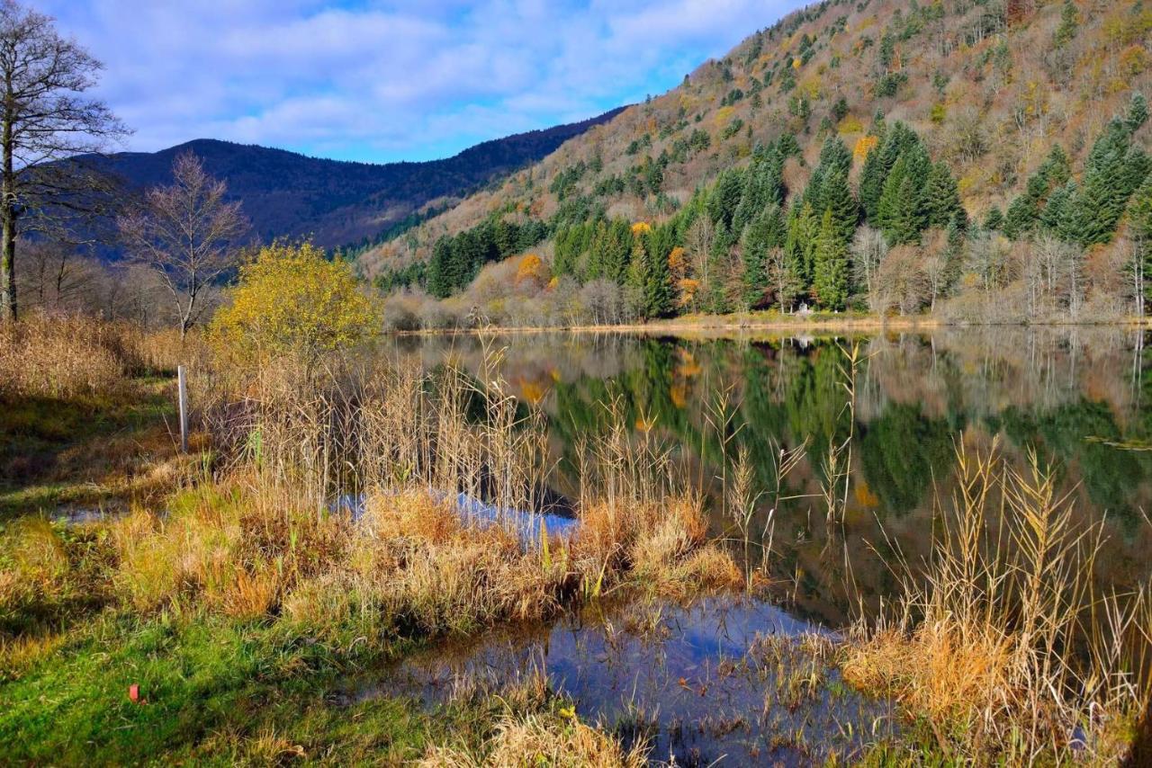 Hebergement Francois Mathieu Saint-Maurice-sur-Moselle Dış mekan fotoğraf