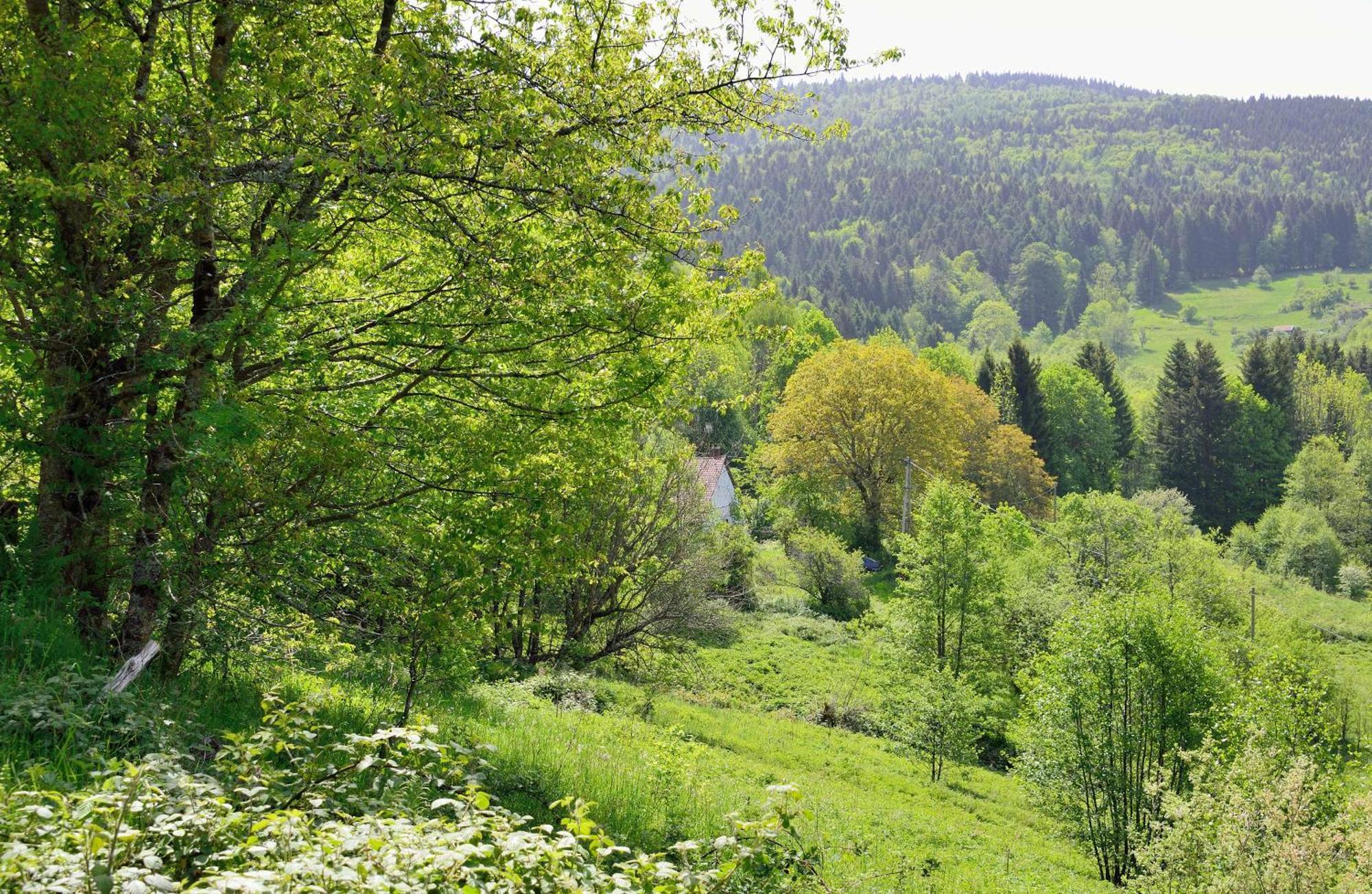 Hebergement Francois Mathieu Saint-Maurice-sur-Moselle Dış mekan fotoğraf