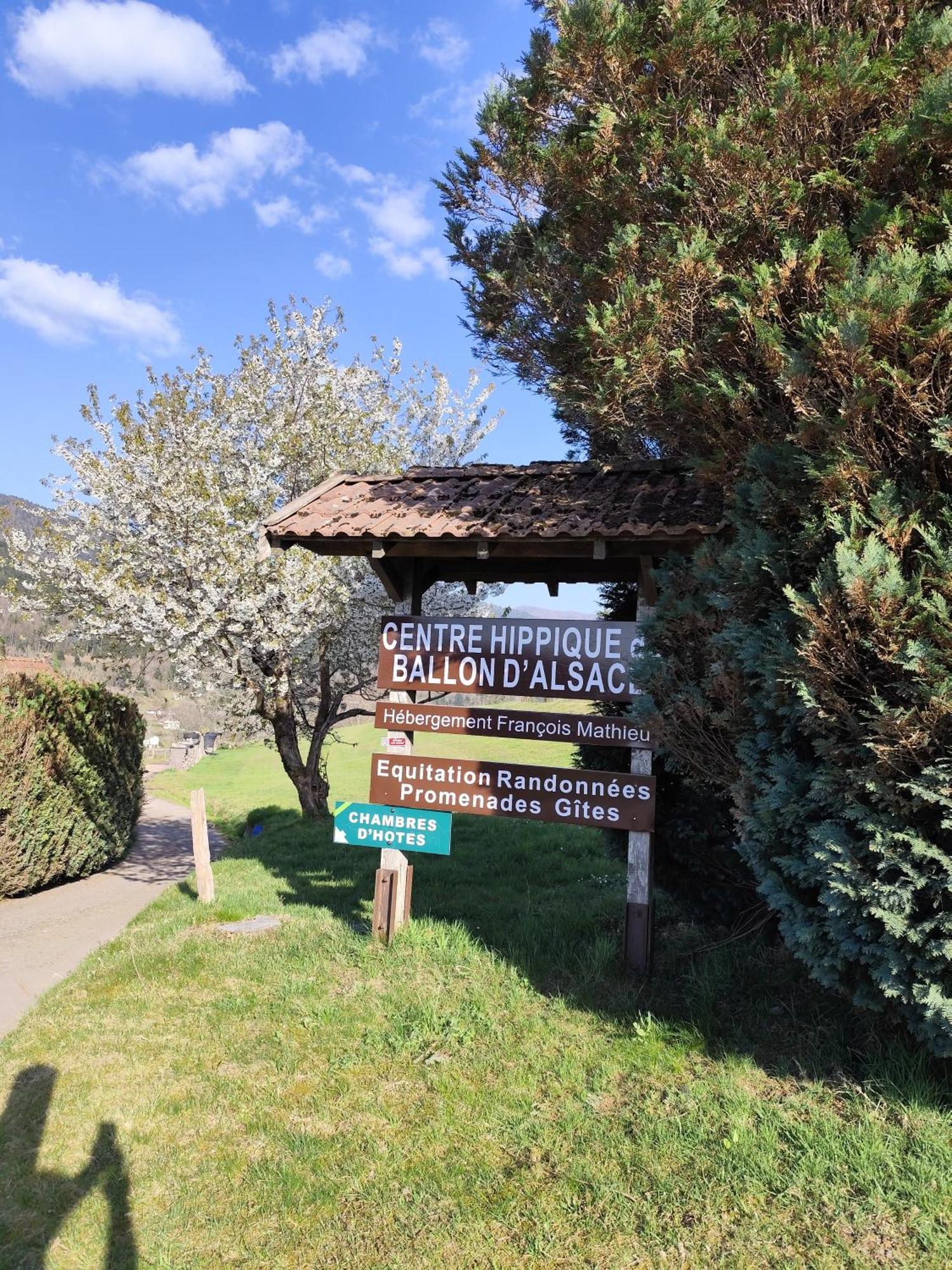 Hebergement Francois Mathieu Saint-Maurice-sur-Moselle Dış mekan fotoğraf